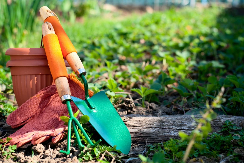 Gartenpflege – Pflege für Beet, Balkon und Rasen